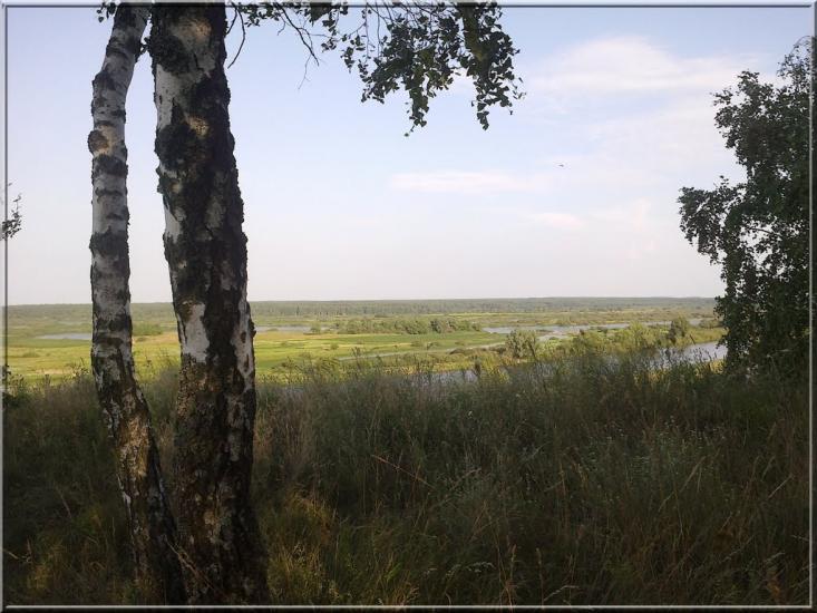 Рогівка з panoramio.com - Rogivka
