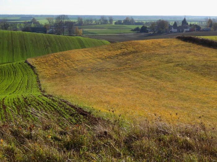 Корчів з panoramio.com - Корчів