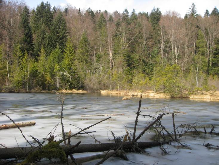 Кам'янка з panoramio.com - Каменка