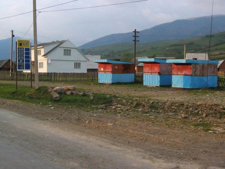 Синевир з panoramio.com - Синевир