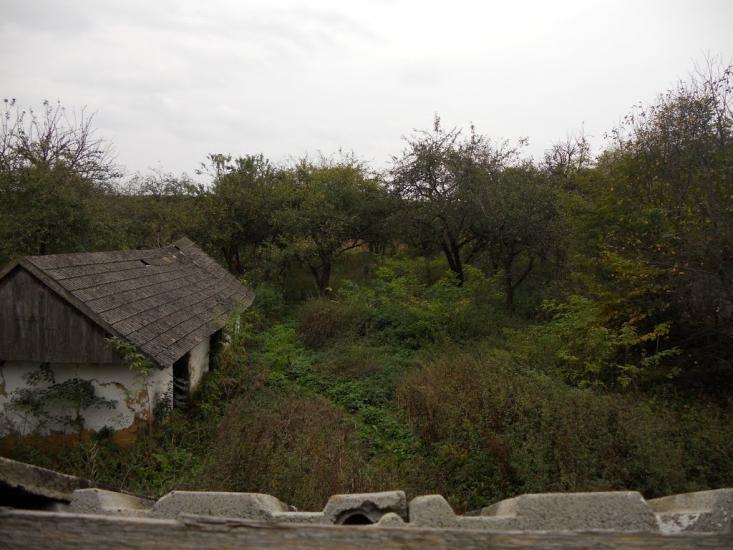 Григорів з panoramio.com - Григорів