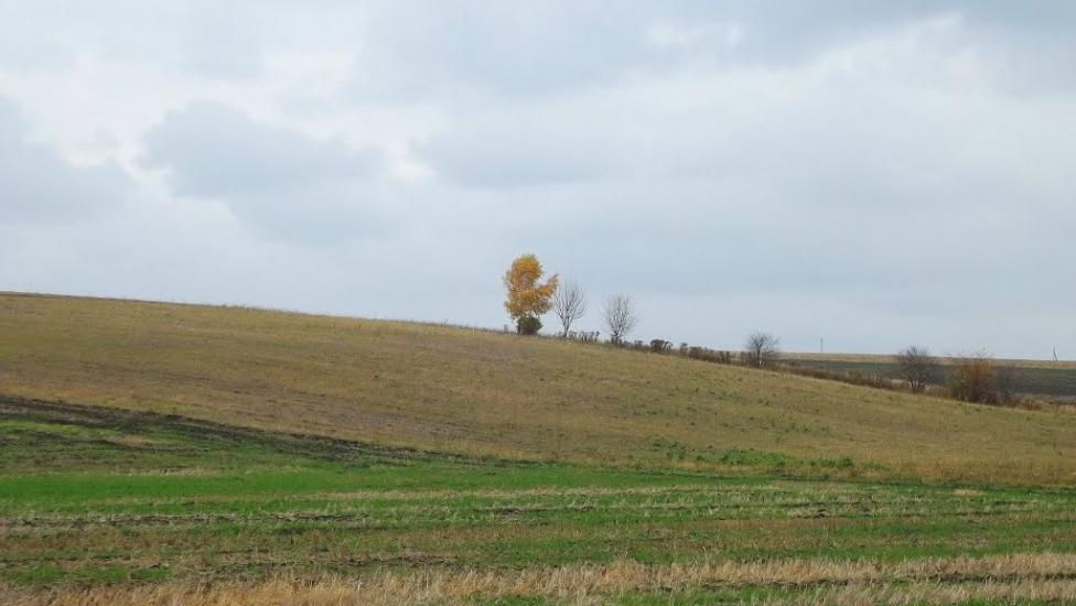 Лаврів з panoramio.com - Лавров