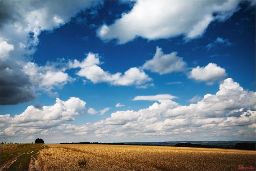 Вільшанка з panoramio.com - Ольшанка