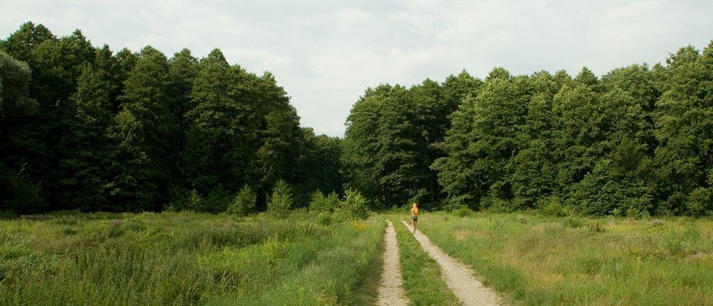 Деменці з panoramio.com - Деменці