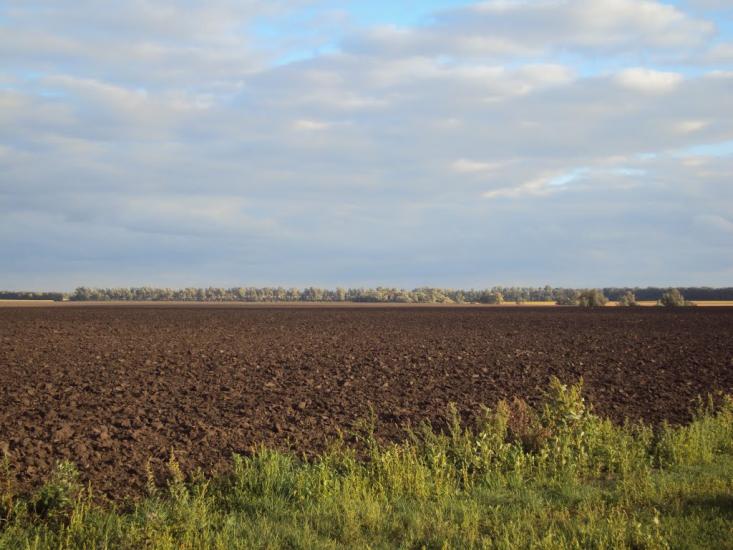 Веселий Кут з panoramio.com - Веселый Кут