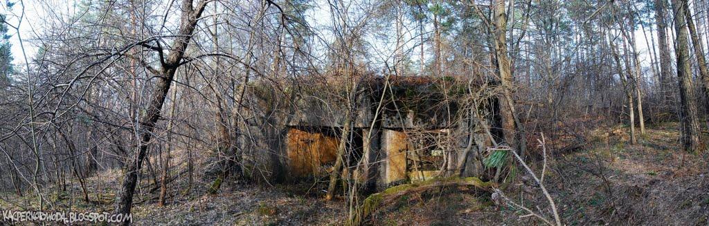 Дев'ятир з panoramio.com - Девятир