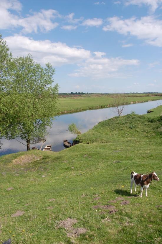 Хрінники з panoramio.com - Khrinnyky