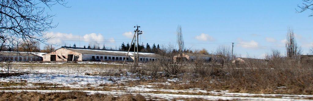 Пугачівка з panoramio.com - Пугачівка