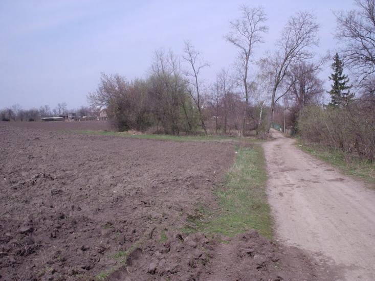 Шаліївка з panoramio.com - Шаліївка