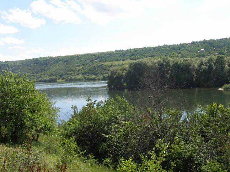 Оксанівка з panoramio.com - Оксанівка