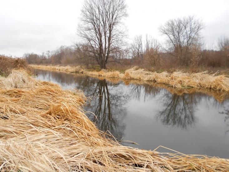 Деменці з panoramio.com - Деменцы