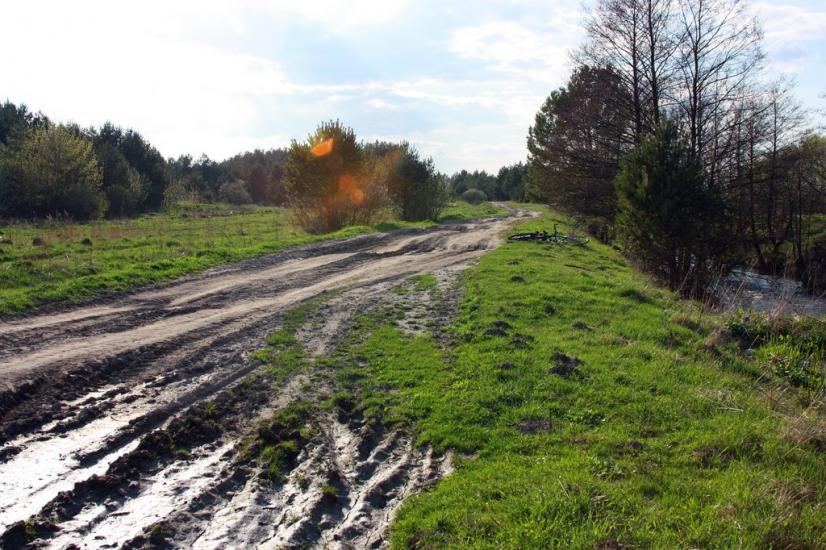 Черемошня з panoramio.com - Черемошня