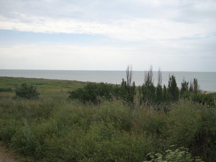Орлівка з panoramio.com - Орловка