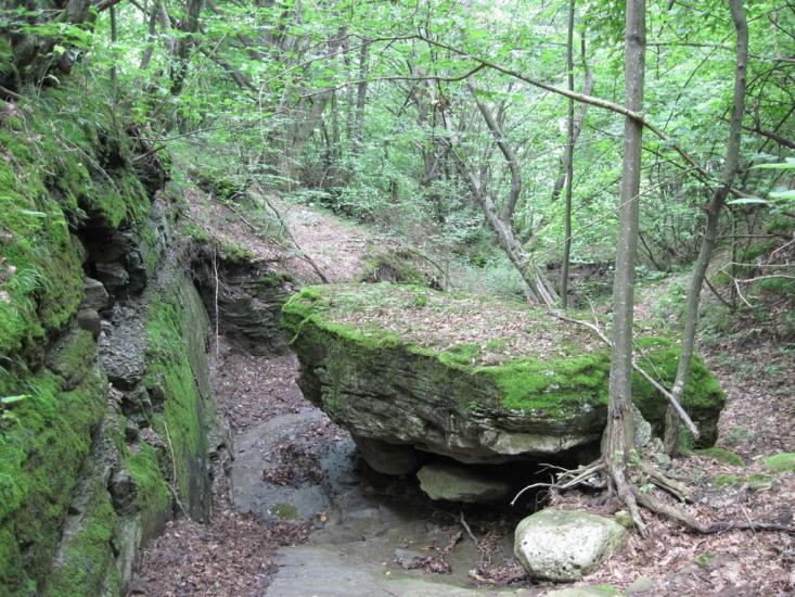 Стара Ушиця з panoramio.com - Стара Ушиця