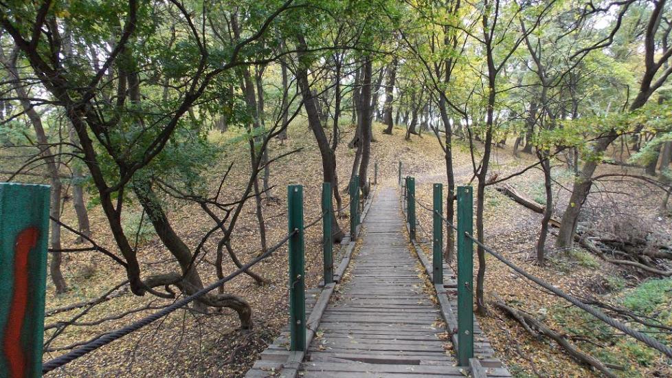 Ясенівський з panoramio.com - Ясенівський