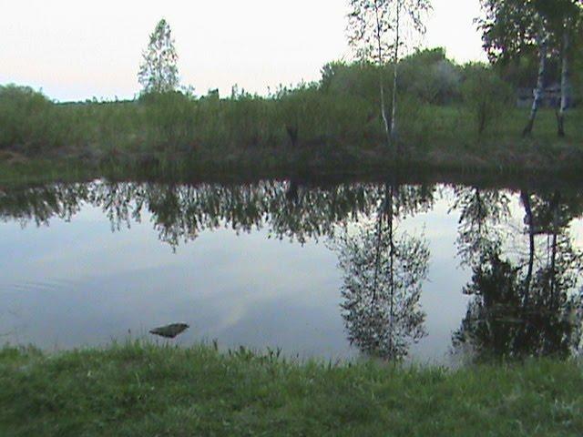 Красні Лози з panoramio.com - Красные Лозы