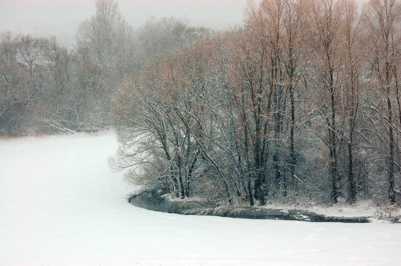 Скалівські Хутори з panoramio.com - Скалівські Хутори