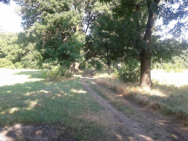 Роздольне з panoramio.com - Роздольне