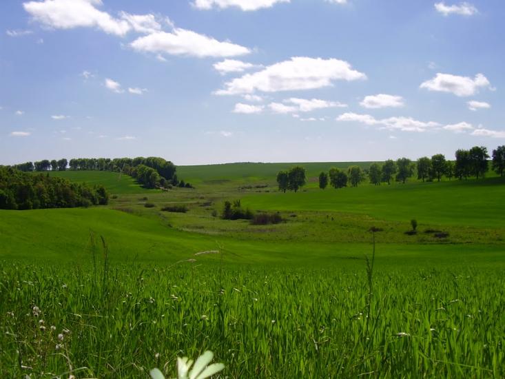 Красносілка з panoramio.com - Красносілка