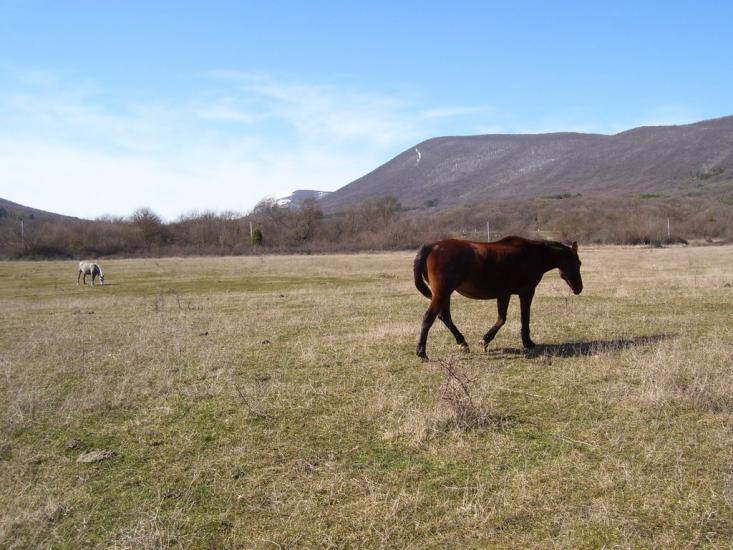 Тилове з panoramio.com - Tylove