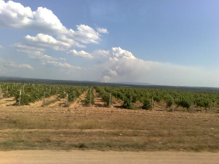 Фруктове з panoramio.com - Фруктовое