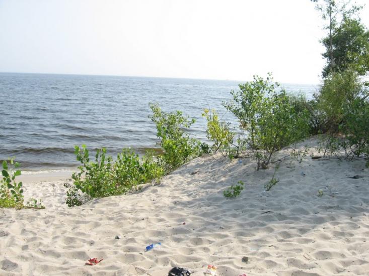 Боровиця з panoramio.com - Боровиця