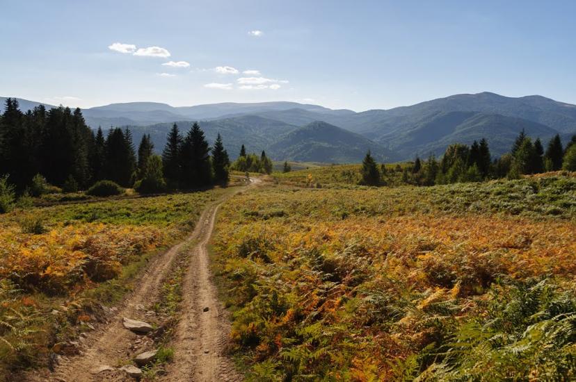 Щербовець з panoramio.com - Щербовец