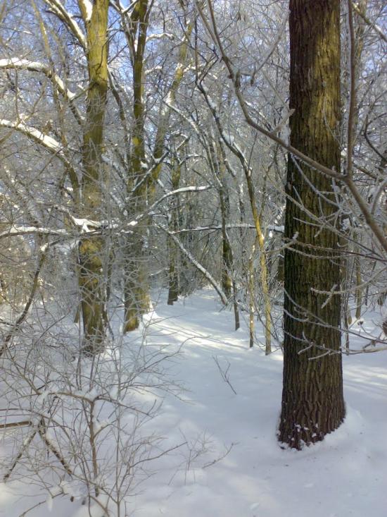 Петрівське з panoramio.com - Petrivske