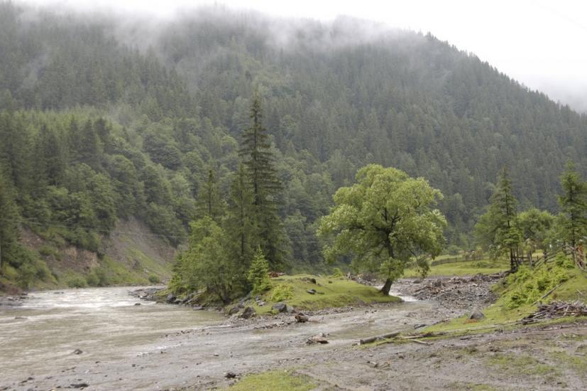 Нижній Яловець з panoramio.com - Нижній Яловець