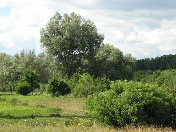 Деменці з panoramio.com - Деменці