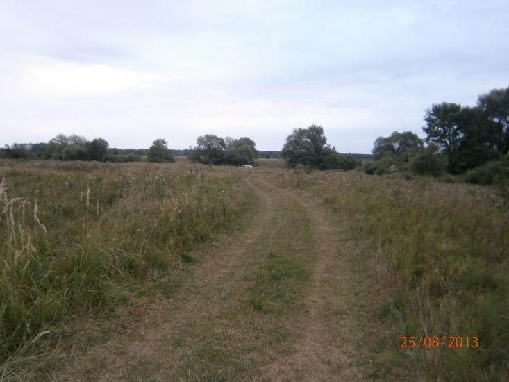 Берездівці з panoramio.com - Берездівці