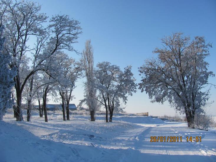 Любимівка з panoramio.com - Любимовка