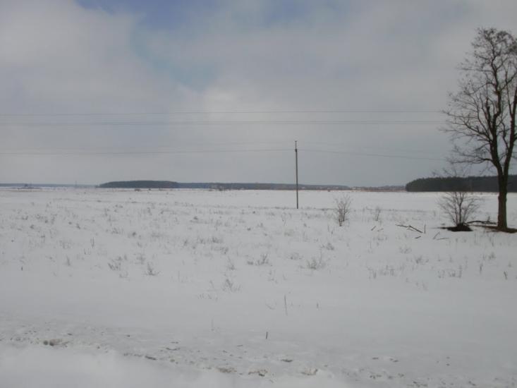 Мельники з panoramio.com - Мельники