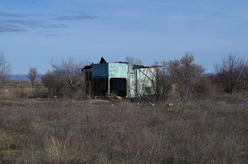 Новозбур'ївка з panoramio.com - Новозбур'ївка