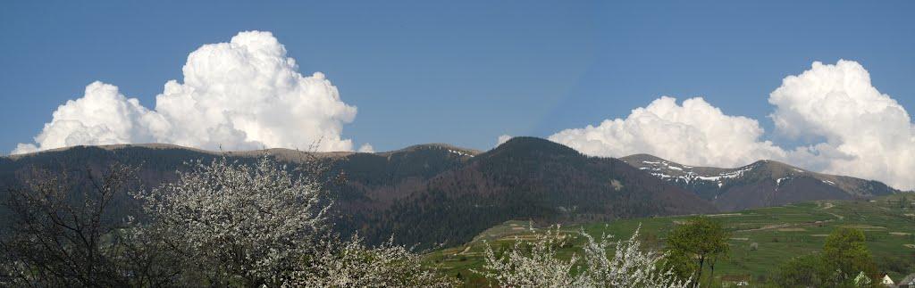 Синевир з panoramio.com - Синевир