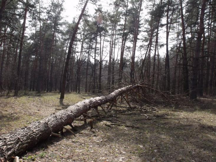 Булахівка з panoramio.com - Булаховка