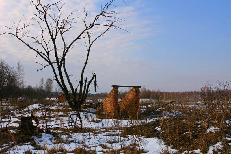 Черемошна з panoramio.com - Cheremoshna