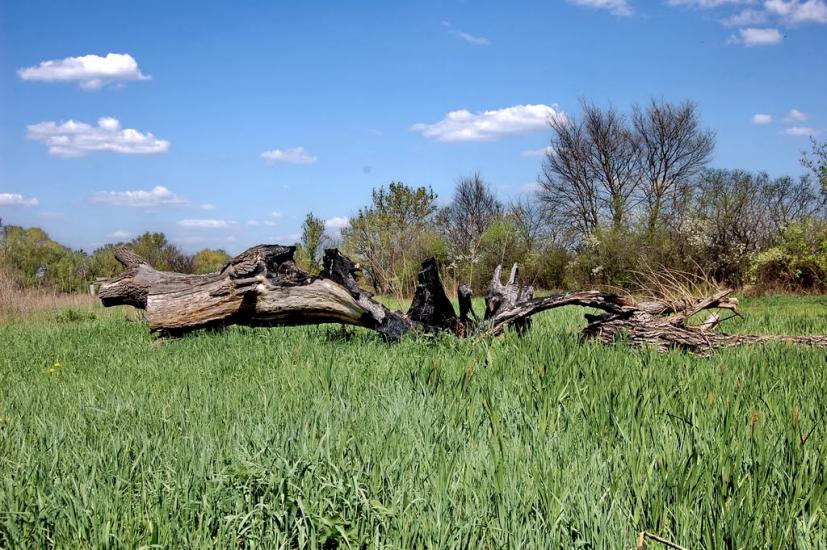 Новомикільське з panoramio.com - Новомикільське