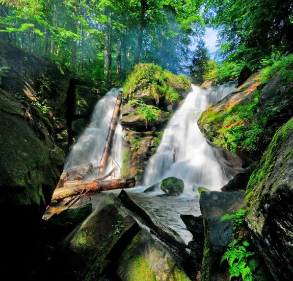 Полянська Гута з panoramio.com - Полянская Гута
