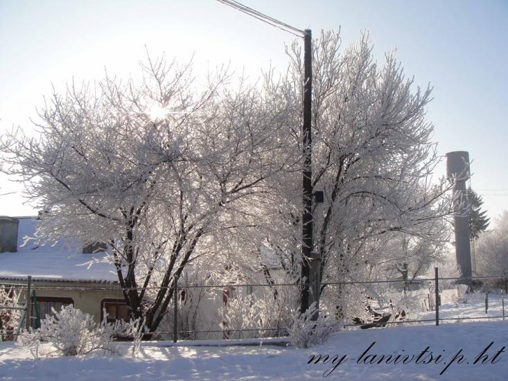 Ланівці з panoramio.com - Ланівці