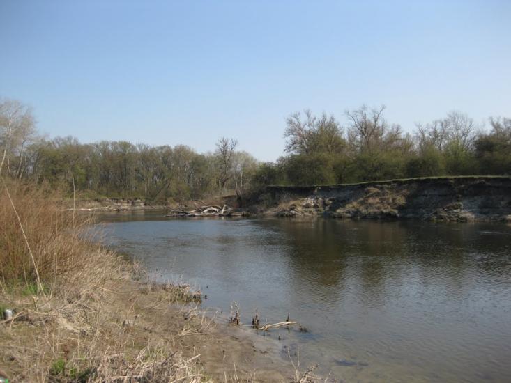 Плавні з panoramio.com - Плавни
