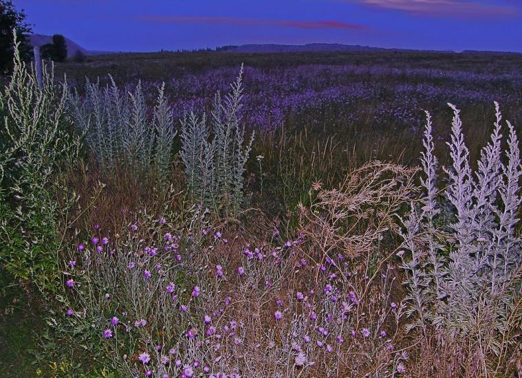 Роздольне з panoramio.com - Роздольное