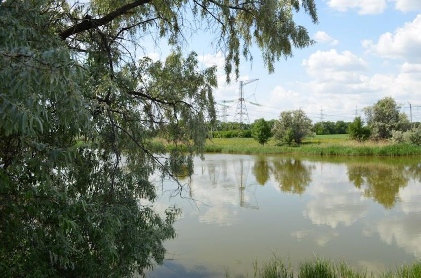 Новомихайлівське з panoramio.com - Новомихайлівське