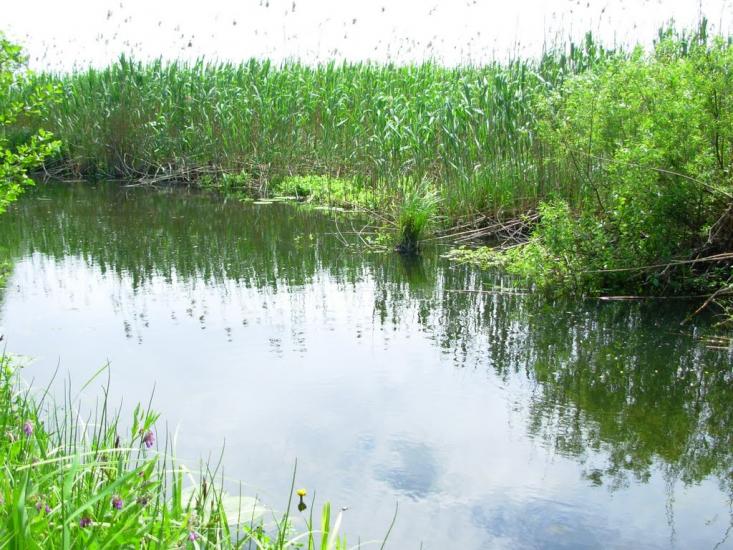 Колісники з panoramio.com - Колісники