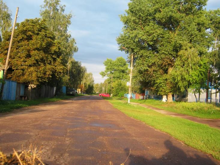 Деревини з panoramio.com - Derevyny