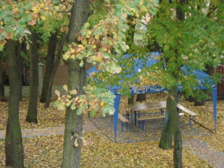 Стебник з panoramio.com - Стебник