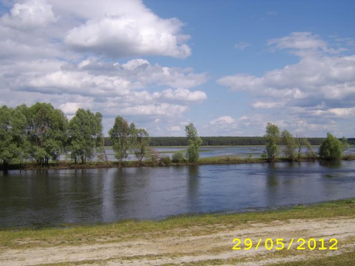 Радичів з panoramio.com - Радичів