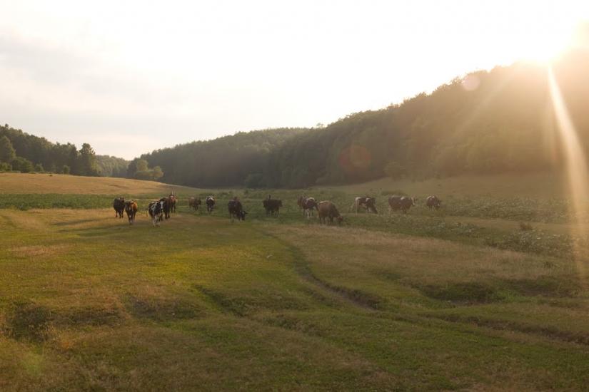 Свердловка з panoramio.com - Sverdlovka