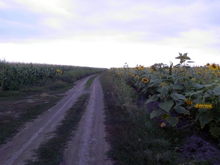 Мілова Балка з panoramio.com - Мілова Балка