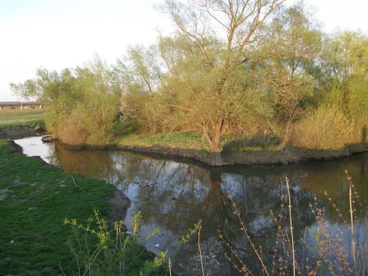 Сівка-Войнилівська з panoramio.com - Сівка-Войнилівська